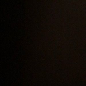 Meet your Posher, Pearl